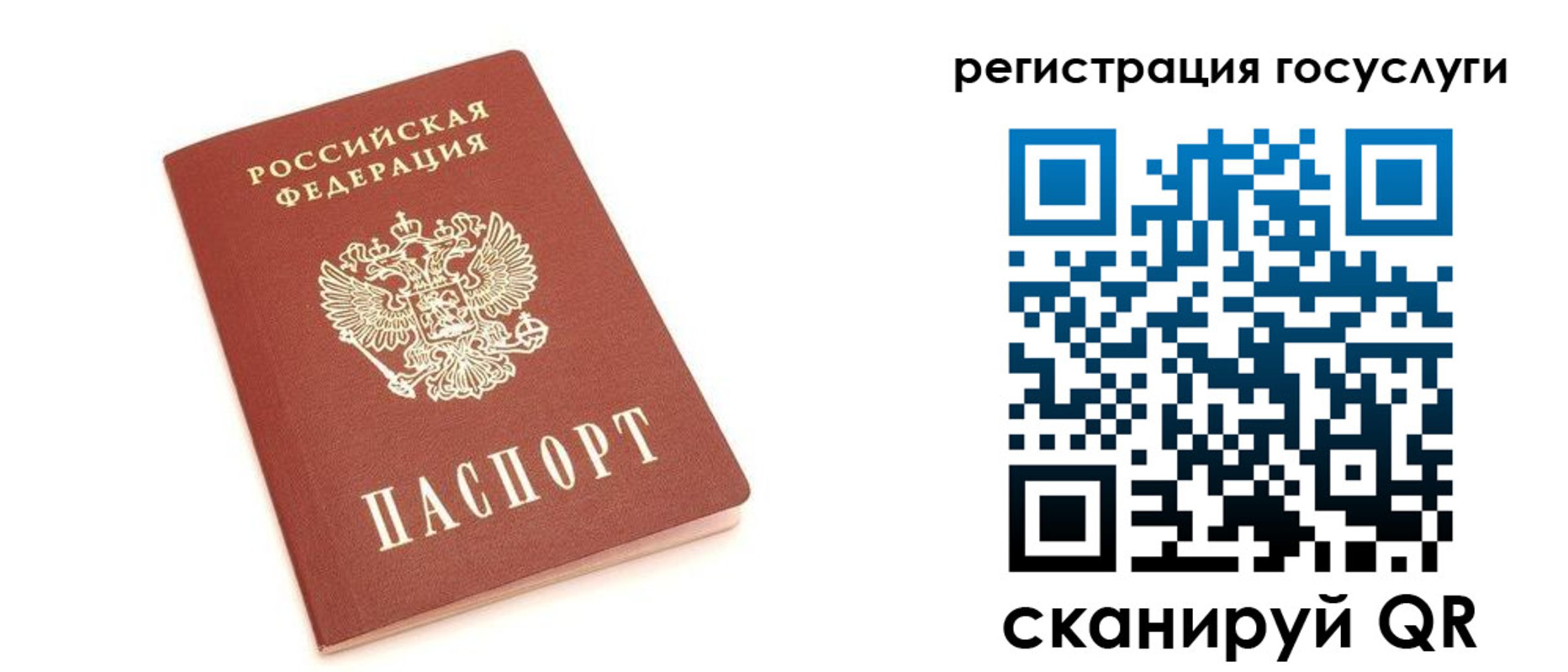 прописка 2025 в Зеленоградске